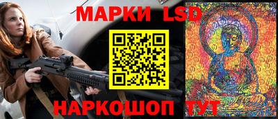гидропоника Бердск