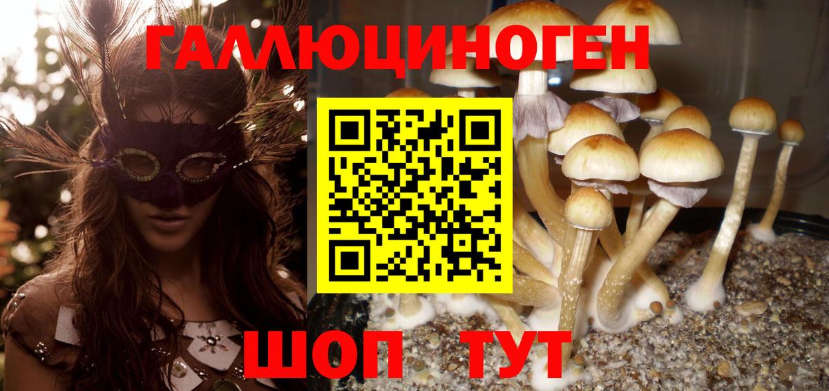 Псилоцибиновые грибы мухоморы Калининград