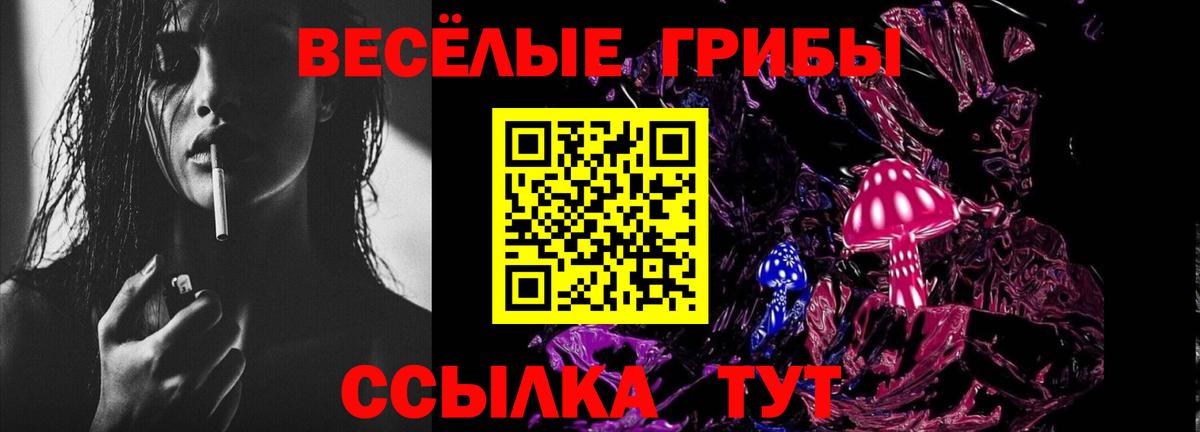 Псилоцибиновые грибы мицелий  Вход с VPN  как найти закладки  Калининград 